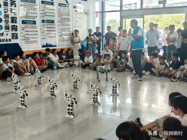 溆浦县科协“机器人秀”亮相科普活动 点燃“小候鸟”科技热情