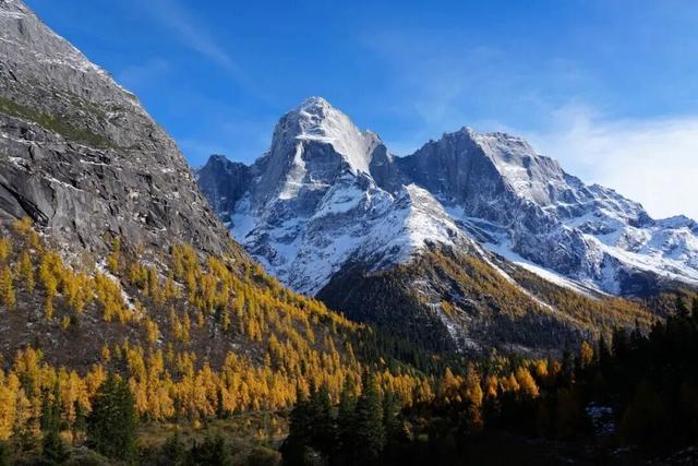 四川人盼初雪的心情谁懂！