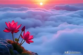 这段话抄下来，够你收藏一辈子，余生很贵，不必逢迎，不必勉强图片