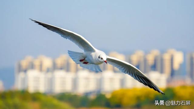 跨越山海的生态之约 奏响人与自然和谐乐章