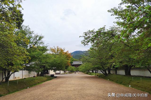 日本京都：走进醍醐寺