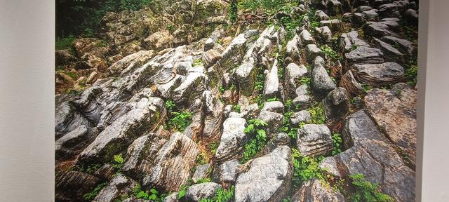 心心念念的大秦岭