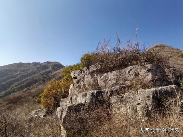 雪后初霁登顶嵯峨山，走荒野雪原，看千年悟空塔，感受历史的烟云