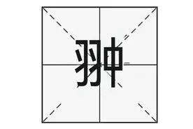 “翀”字怎么读，又是什么意思呢？用于取名时有什么寓意？图片