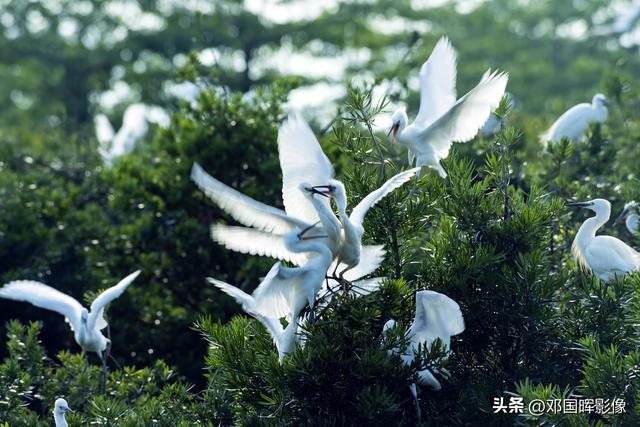 珠海特区45周年，用图片见证这座城市的无限魅力