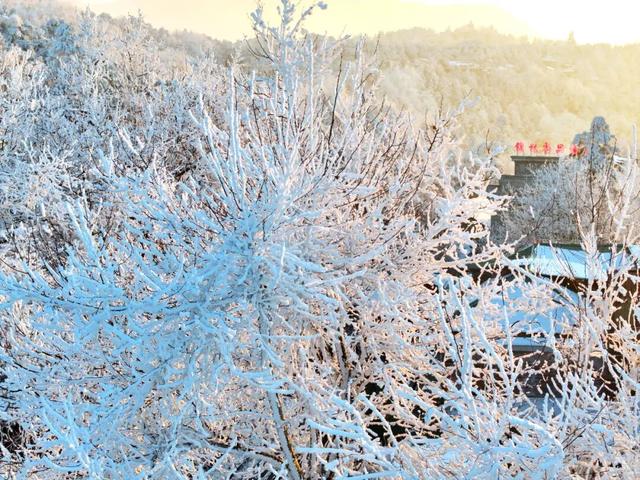 庐山雪白夕阳红：牯岭夜凇美如画