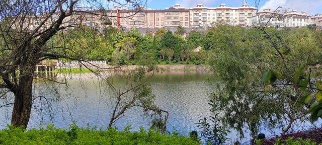 曲靖楚雄纪行之十四：查姆文化，哀牢山深处的彝魂诗篇