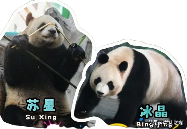 免费！临沂这些景区官宣