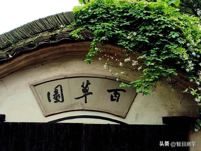 绍兴游记：走近鲁迅，从“百草园”到“三味书屋”