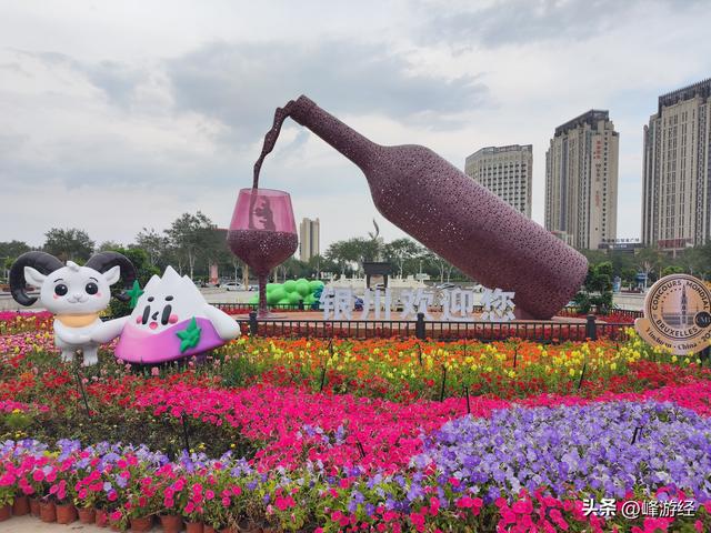 寻凤凰幻城的文化背景，银川站前广场的葡萄酒雕塑和站内的向阳花