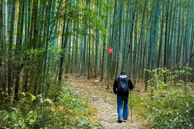 进化藏了个神仙徒步地，出片率极高！