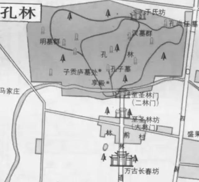 山东第一座国家历史文化名城，这个咖位够不够重？