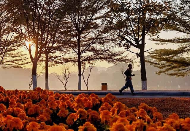 早上跑步好还是晚上好？好多人都做错了，医生的话不妨听听