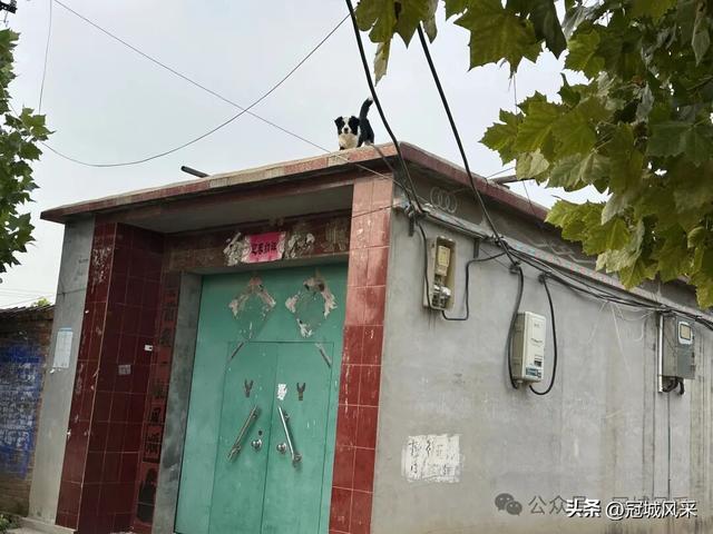 冠县乡韵·桑阿镇轧庄