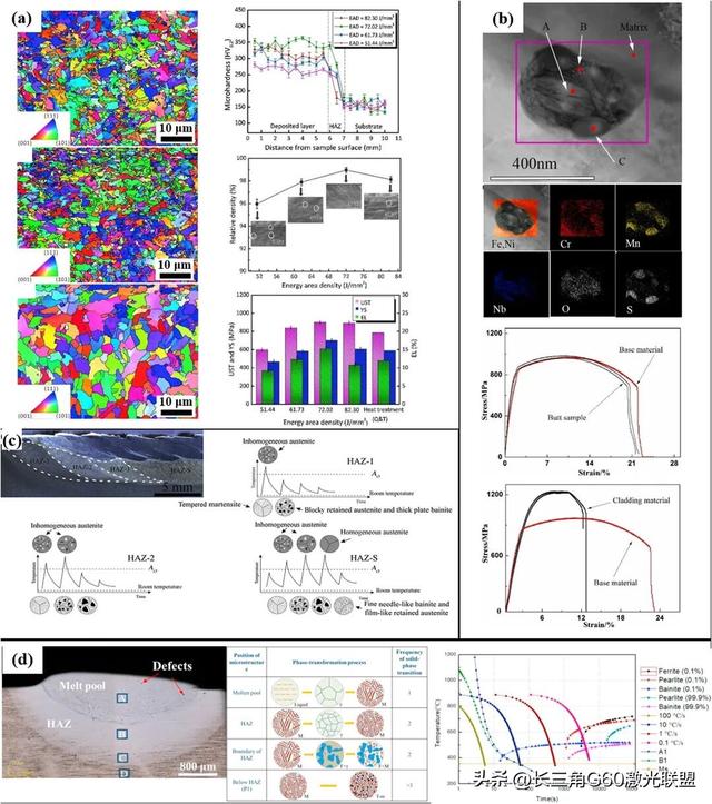 Mater. Sci. Eng. A先进材料激光定向能量沉积（DED-LB）全面综述