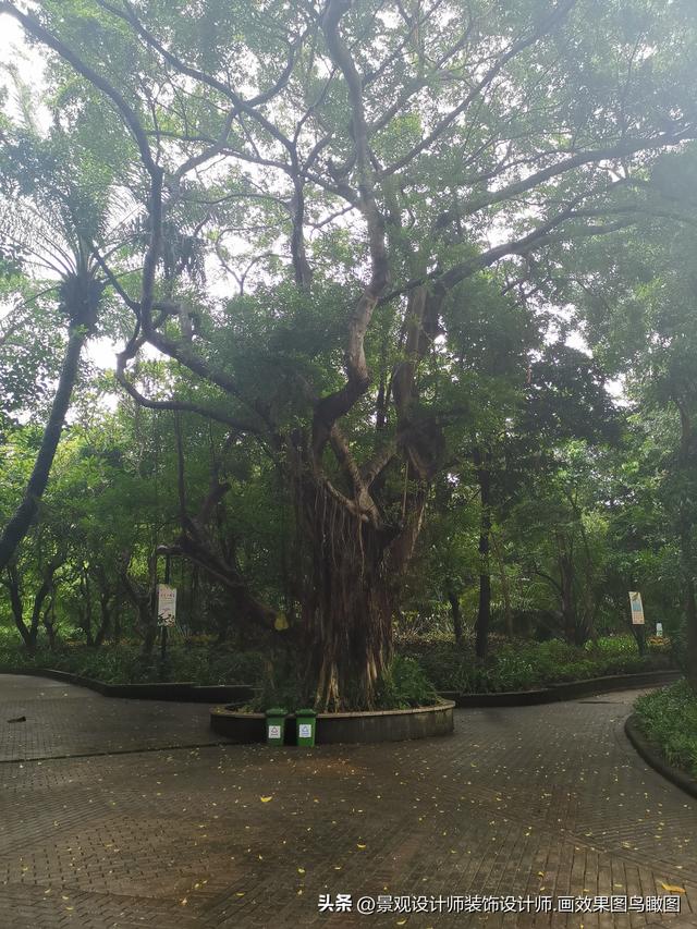 海南省海口市人民公园