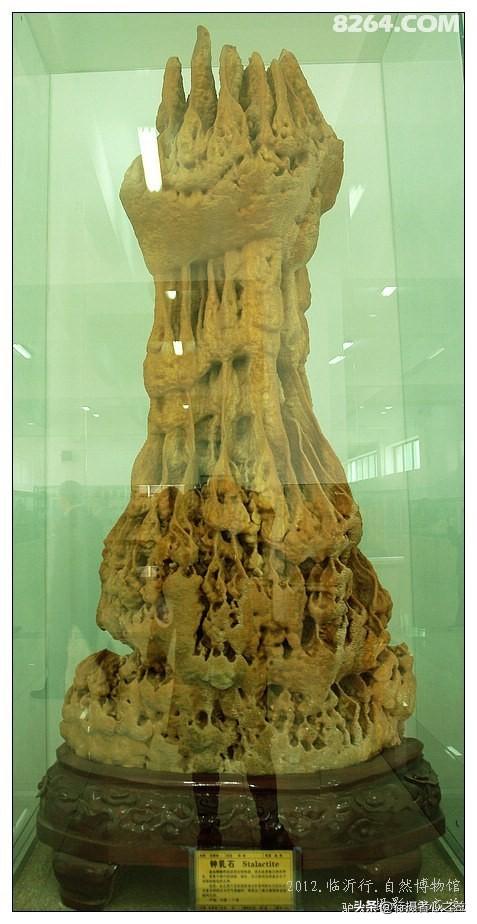山东行游影记（31）—平邑天宇自然博物馆（六）