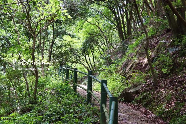 宁波北仑的虾蜡龙潭森林步道，龙潭双瀑藏于秘境，沿途风景都很美