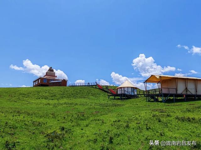 宕·寻22°的夏天！甘肃宕昌：药乡山水调出清凉康养“大处方”