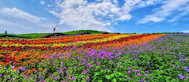 夫妻相处时	，男人动不动就大喊大叫发脾气，你该如何做呢？