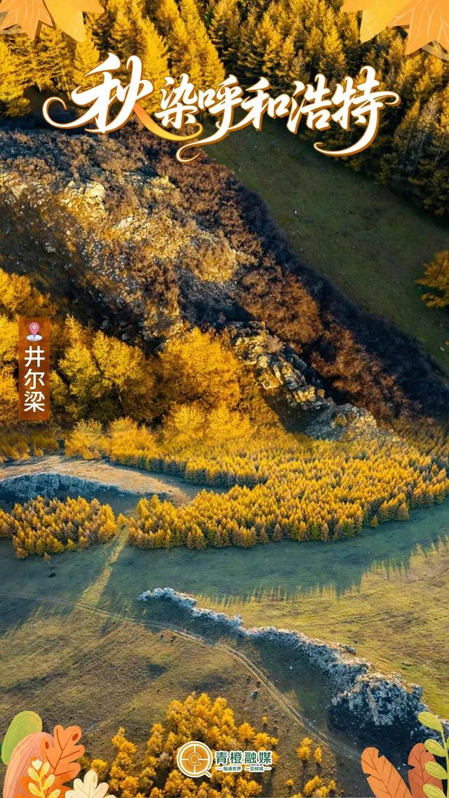 再过几天，呼和浩特就要变成这样了→