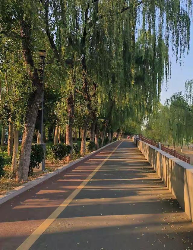 世界只有中国河南省洛阳市才有的全球“独一无二的10大奇景”