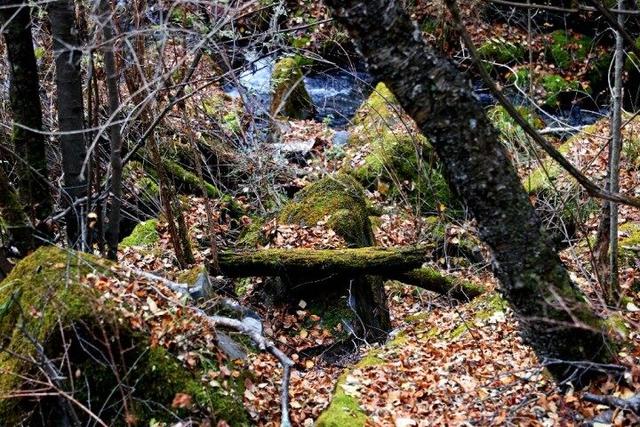 四川这个地方的初冬，是彩色的！