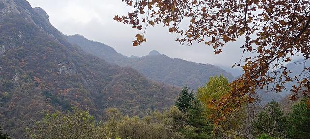 最爱秋意行不足 再上翠华赏秋色