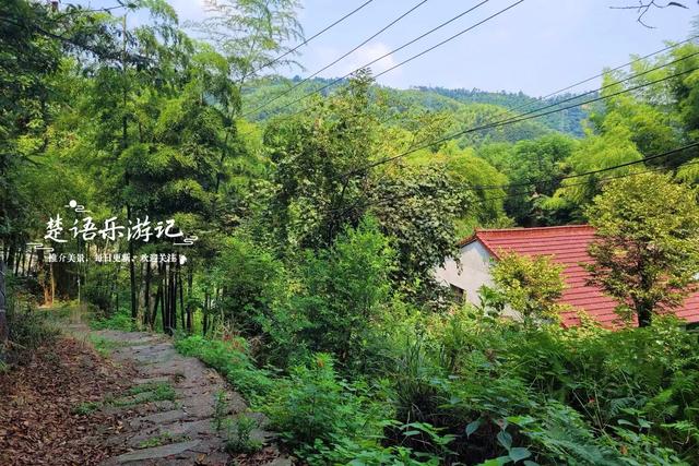 浙江宁波将军山麓的古村，群山环抱犹如世外桃源，堪称绝美度假村