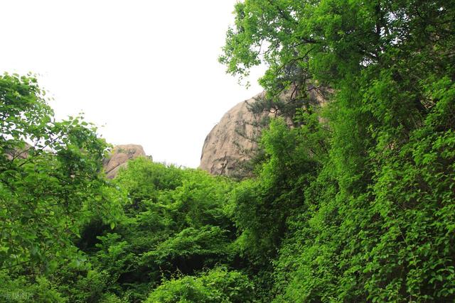 日照旅游景点十大排名，山东日照最值得去的10个地方，你去过几个