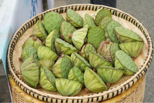 火爆全网的“荷花市集”，太仓也有了！
