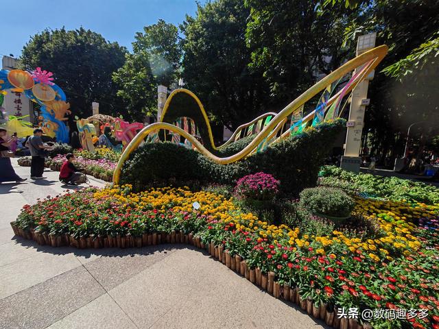 广州66届羊城菊花展，快来看打卡攻略