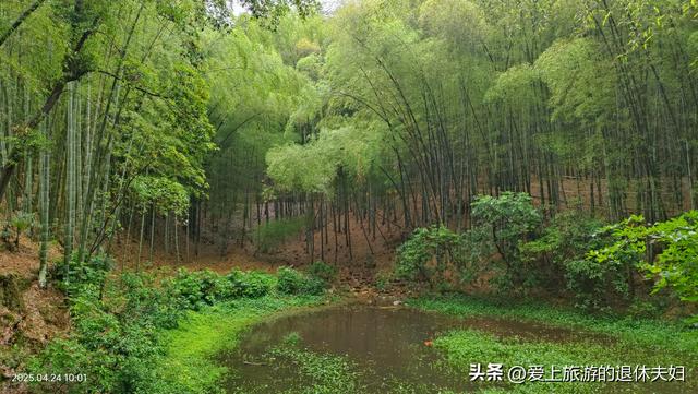出游第7站-岳阳：因去的不是时候,愉悦与失落参半,岳阳楼值得登吗