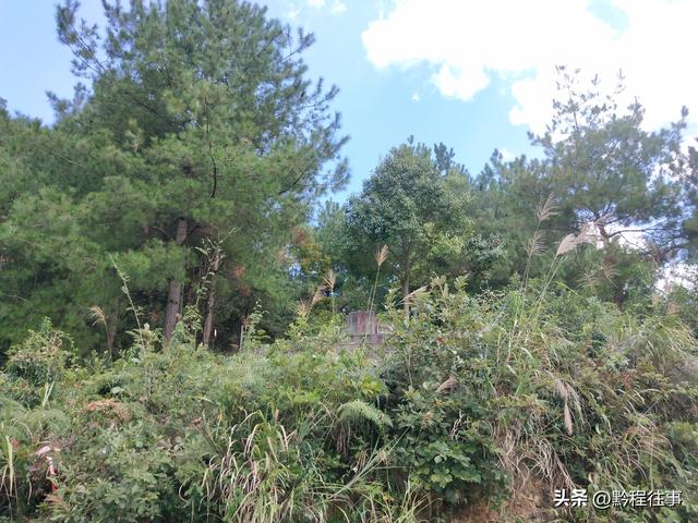 探险贵州深山原始溶洞，遇见一个躲匪洞、一座红军坟