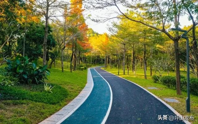 骑遇坪山① | 宝藏“高颜值”骑行线，拍出森系大片刷爆朋友圈