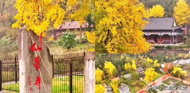 陕西佛系的袖珍县，全城没有红绿灯，出租车仅有九辆