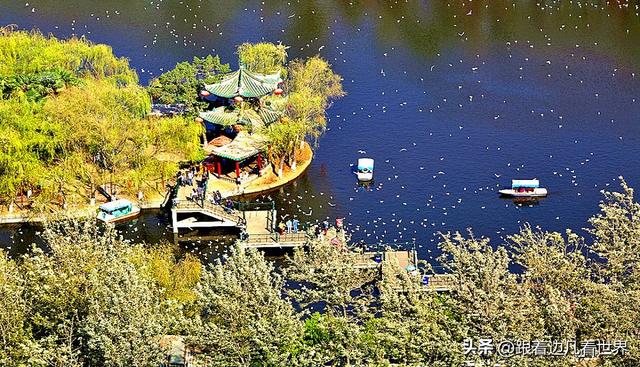 昆明蓝配翠湖银杏黄——藏着昆明最温柔的冬天