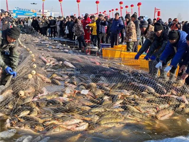 哈素海冬捕节1月10日准时开捕！ 众多好玩好吃的提前知道