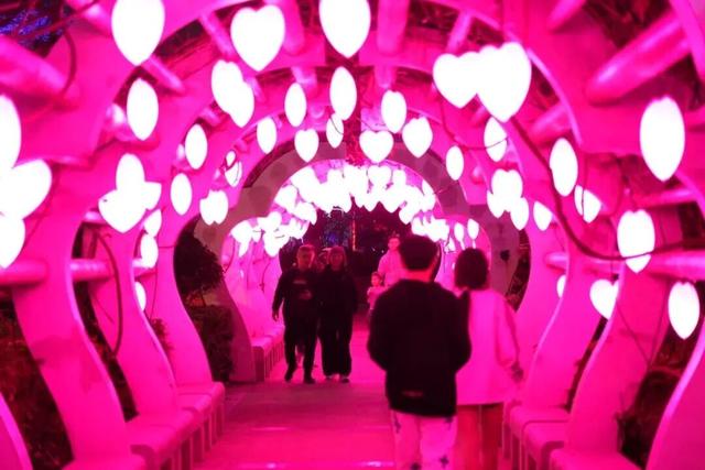 假期快乐不落幕！湛江坡头用光影与海风，为你的年味“续杯”