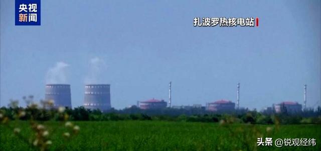 泽连斯基主动官宣！放弃加入北约寻求西方庇护，俄乌局势迎新变数