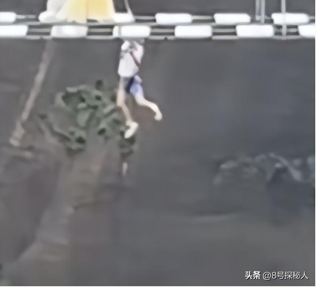 惊险！男童踩空玻璃栈道，身体悬挂空中，路人营救被骂，景区回应