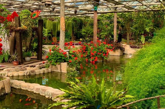 北京世界花卉大观园 四季繁花的梦幻天地