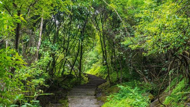 全域好水 亲水纳凉 | 热浪围城？武夷山“清凉刺客”申请出战