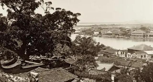 福建龙岩县杨月花是贺子珍长女：开国上将萧克曾劝她改回原来姓氏