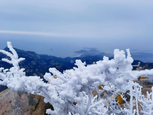 下雪啦！崂山“仙境体验卡”，限时开启
