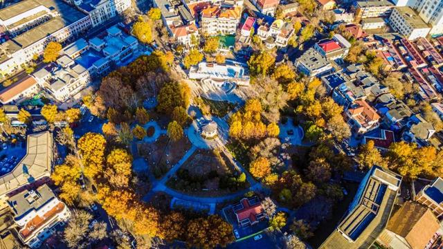 初冬的这座公园——这么静 那么美