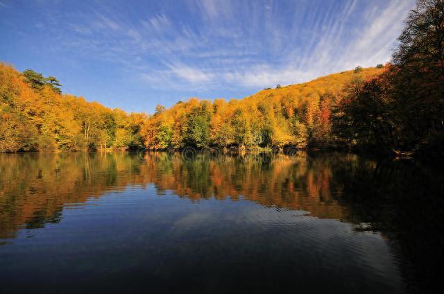 秋江茫茫去不还