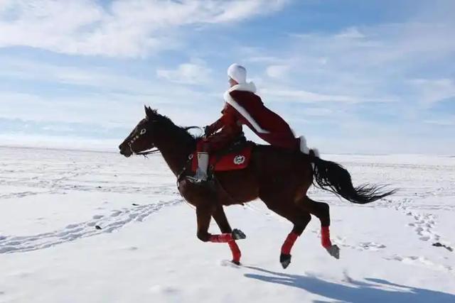 不止马背上的县长	，贺娇龙用400场直播改变乡村命运