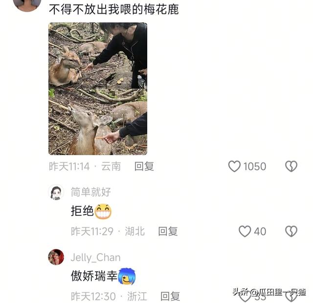 笑不活！国庆假期动物园的动物都吃yue了，网友:每逢佳节胖三斤