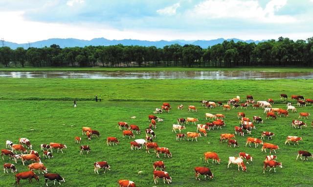 一城烟火枕清波——我市幸福河湖生态长卷徐徐展开